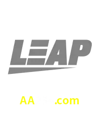Leap